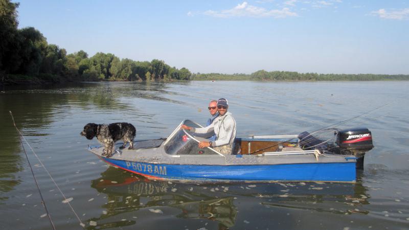 Прикрепленное изображение