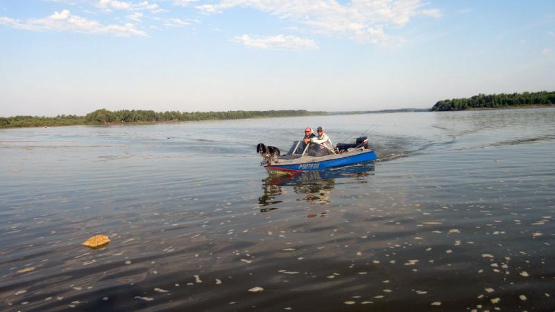 Прикрепленное изображение