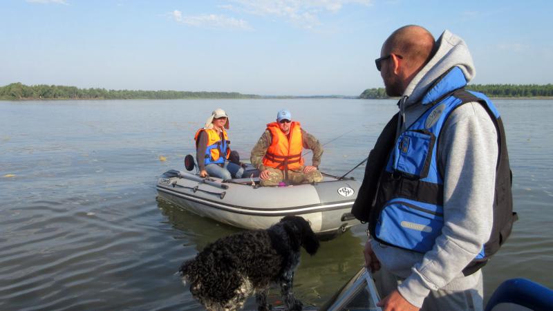 Прикрепленное изображение