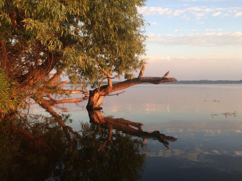 Прикрепленное изображение