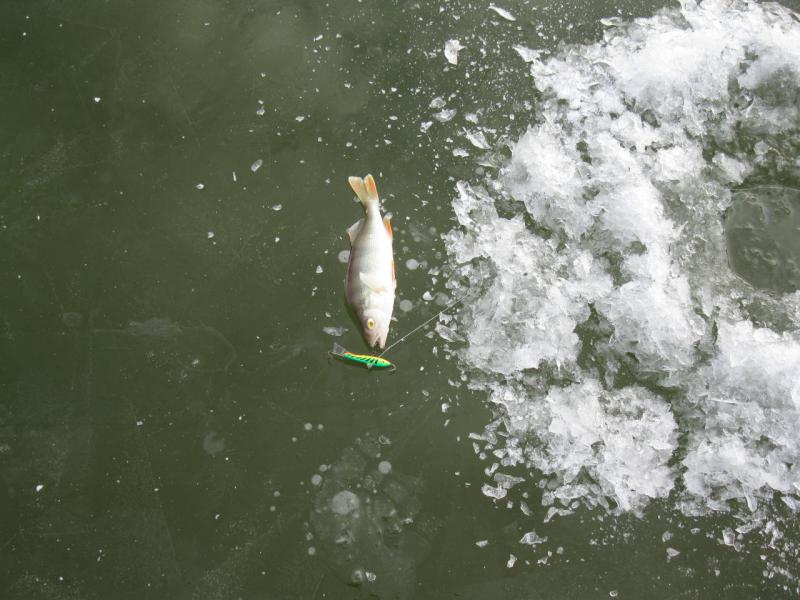 Прикрепленное изображение