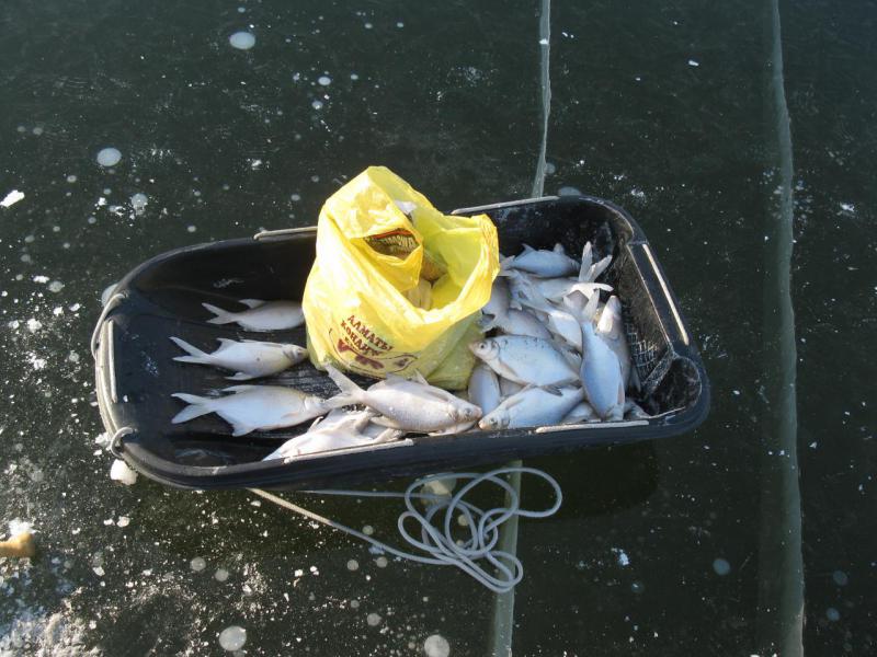 Прикрепленное изображение