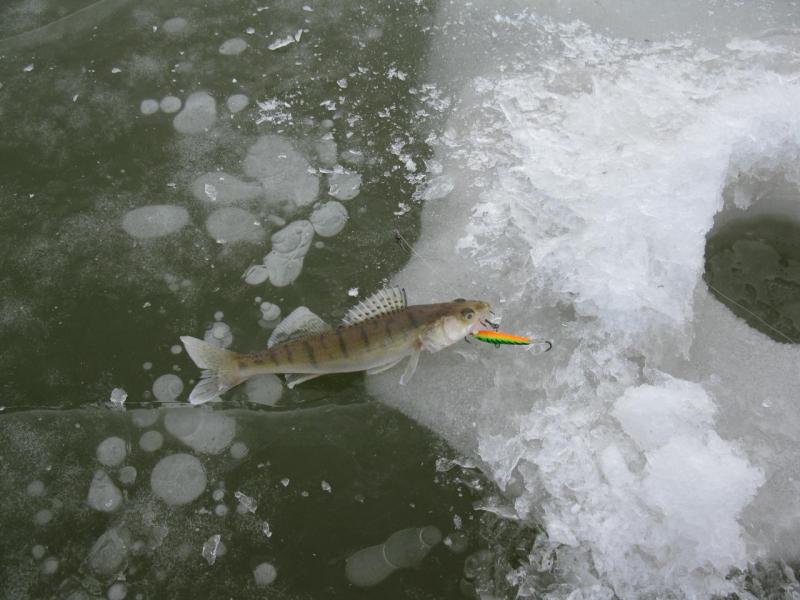 Прикрепленное изображение