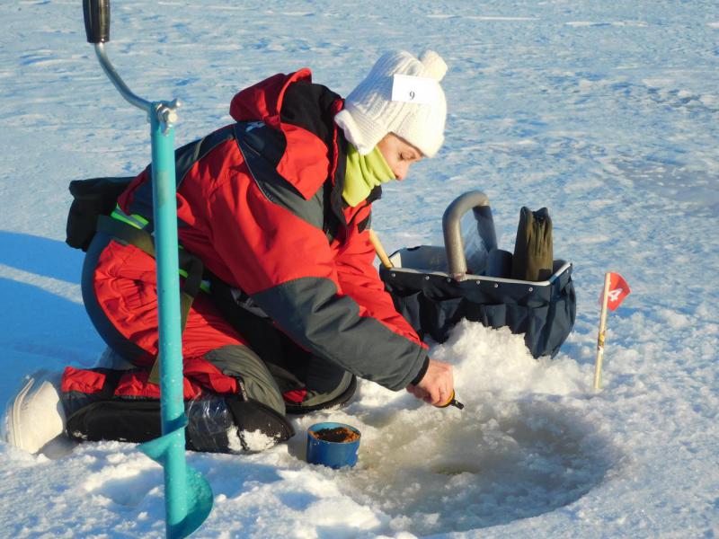 Прикрепленное изображение