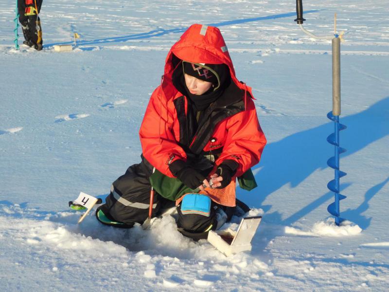 Прикрепленное изображение