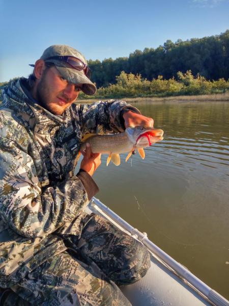 Прикрепленное изображение