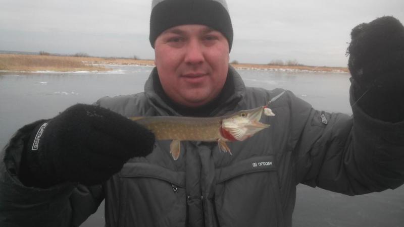 Прикрепленное изображение