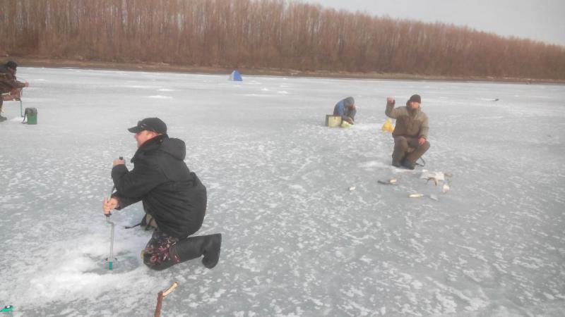 Прикрепленное изображение