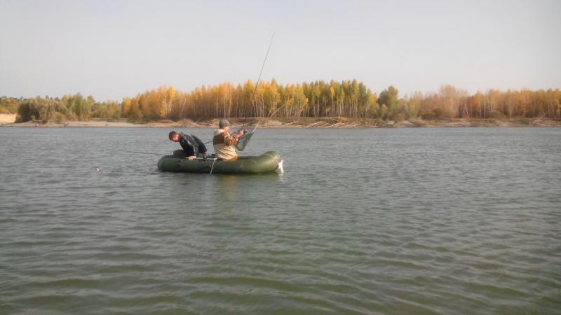 Прикрепленное изображение