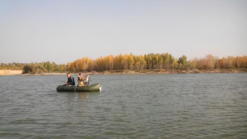 Прикрепленное изображение