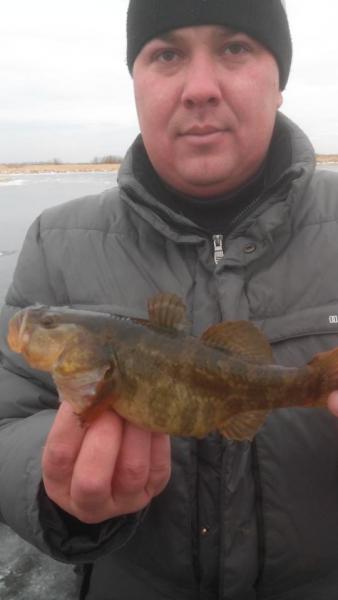 Прикрепленное изображение