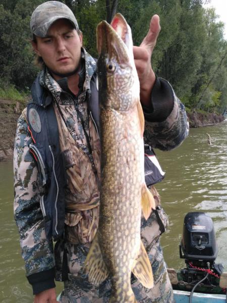 Прикрепленное изображение