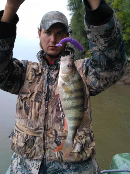 Прикрепленное изображение