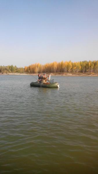 Прикрепленное изображение