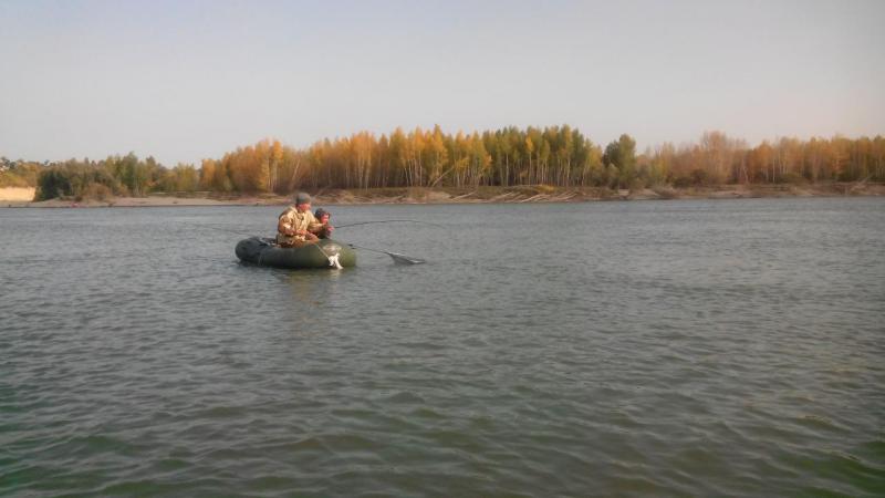 Прикрепленное изображение