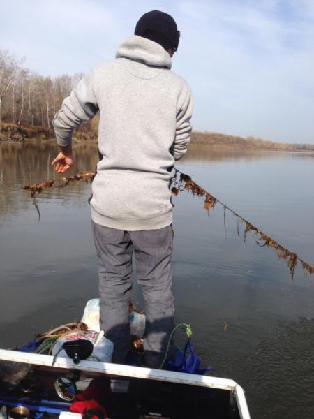 Прикрепленное изображение