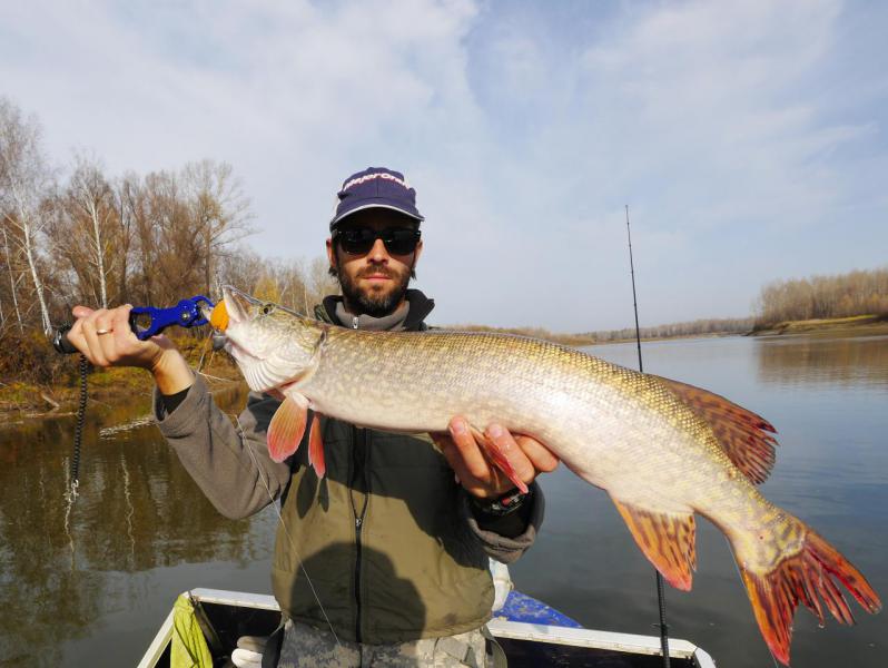 Прикрепленное изображение