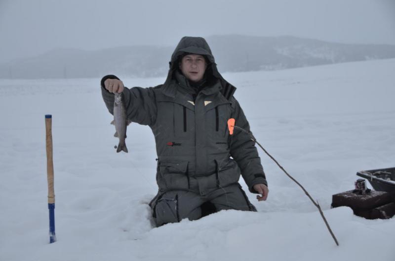 Прикрепленное изображение