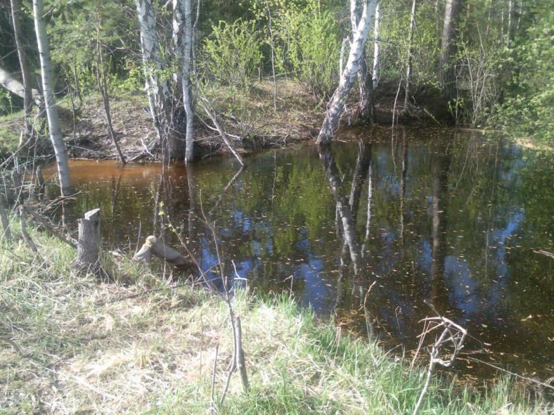 Прикрепленное изображение