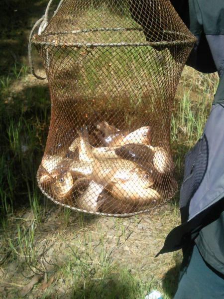 Прикрепленное изображение