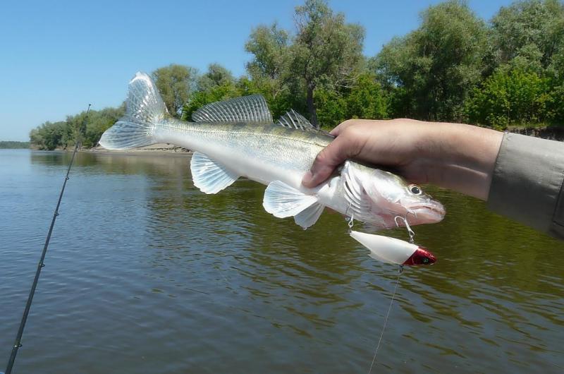 Прикрепленное изображение