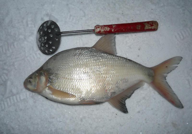 Прикрепленное изображение