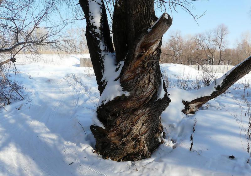 Прикрепленное изображение