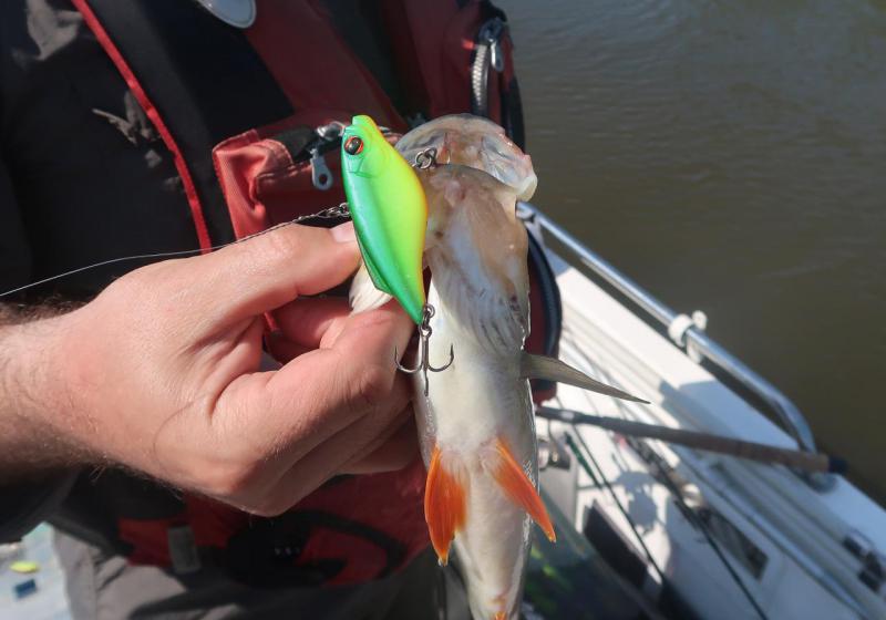 Прикрепленное изображение