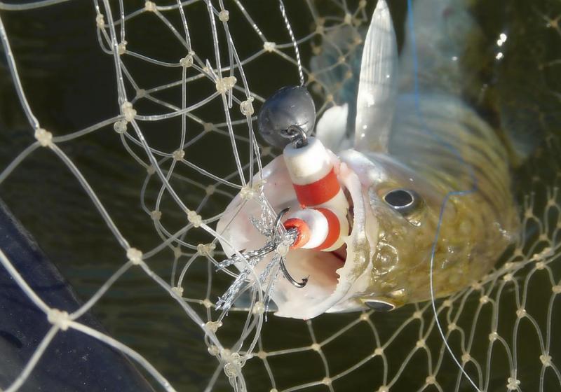 Прикрепленное изображение