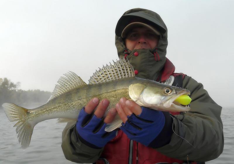 Прикрепленное изображение