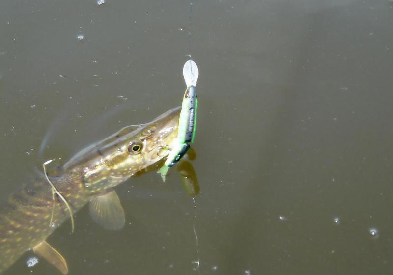 Прикрепленное изображение