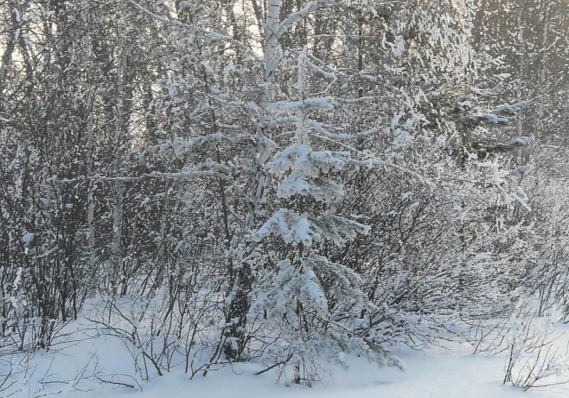 Прикрепленное изображение