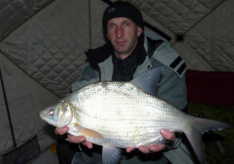 Прикрепленное изображение