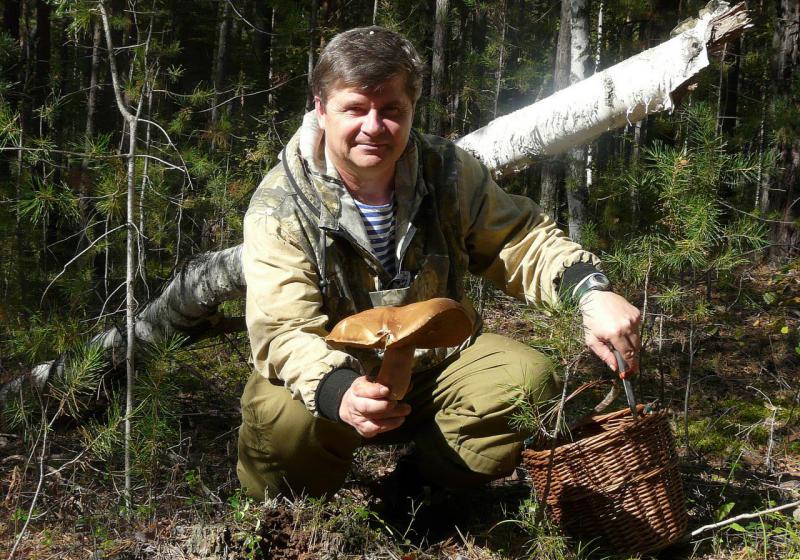 Прикрепленное изображение