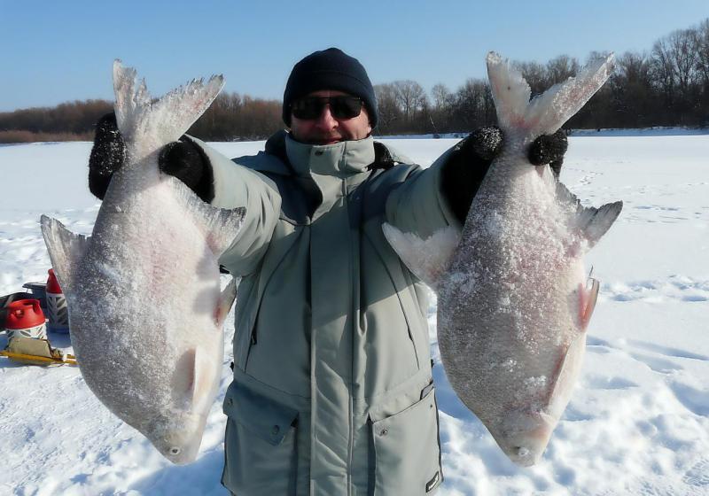 Прикрепленное изображение