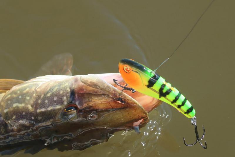 Прикрепленное изображение