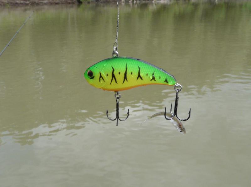 Прикрепленное изображение