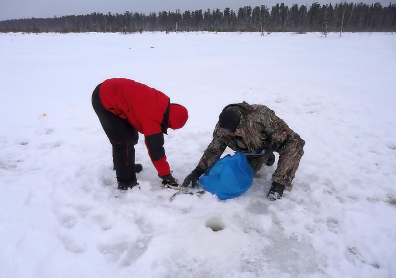 Прикрепленное изображение