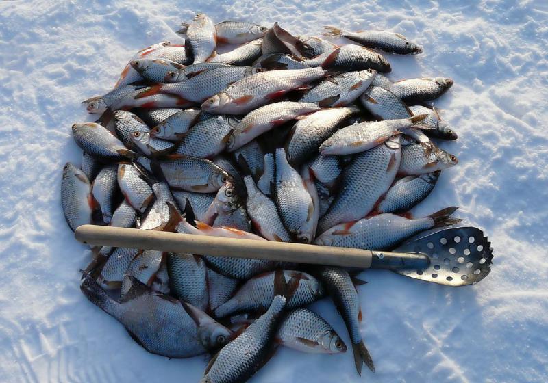 Прикрепленное изображение