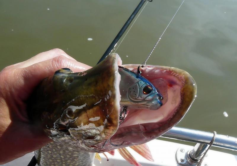 Прикрепленное изображение