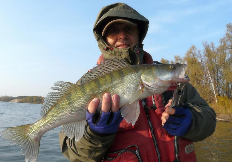 Прикрепленное изображение