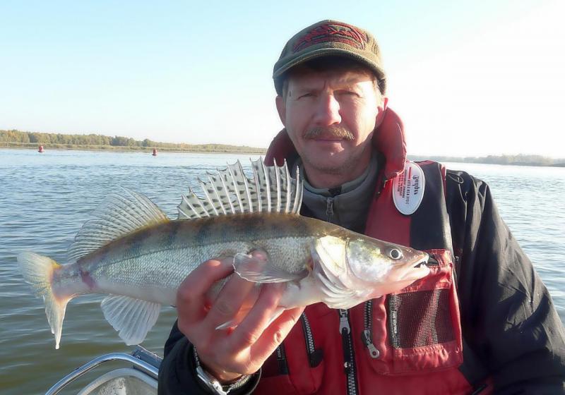 Прикрепленное изображение