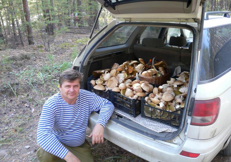 Прикрепленное изображение