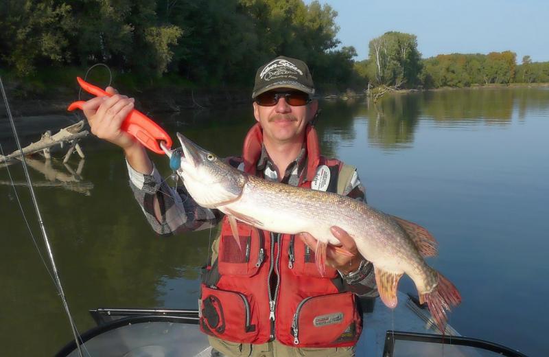 Прикрепленное изображение