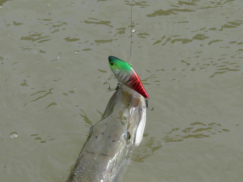 Прикрепленное изображение