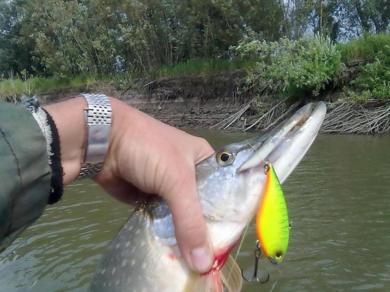 Прикрепленное изображение