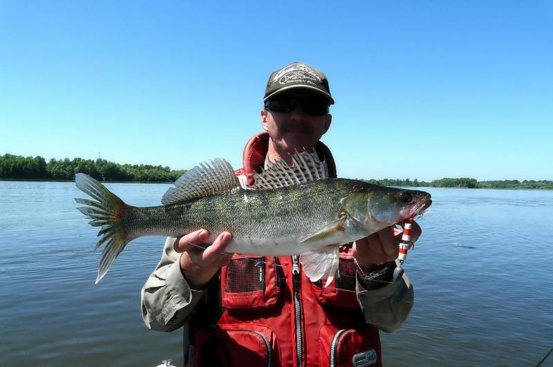 Прикрепленное изображение