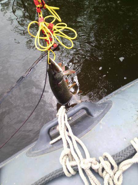 Прикрепленное изображение