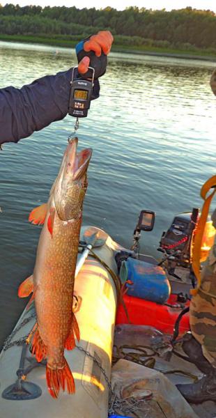 Прикрепленное изображение