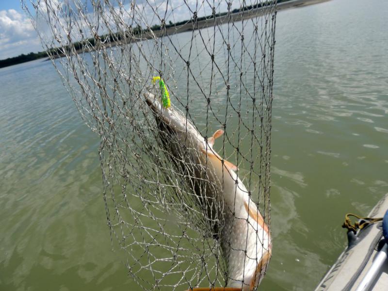 Прикрепленное изображение